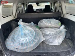 
										TOYOTA SUCCEED WAGON FOR SALE IN KENYA full									