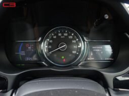 
										HONDA GRACE FOR SALE IN KENYA full									